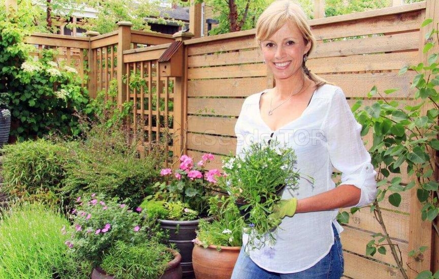 What to plant in a flower bed in spring so that it blooms all summer