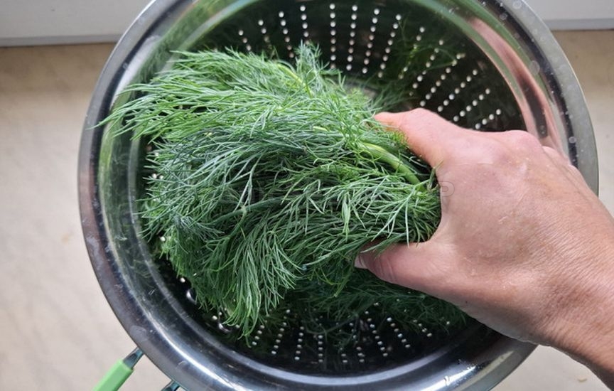 How to freeze herbs so they stay fragrant all winter How to freeze herbs so they stay fragrant all winter