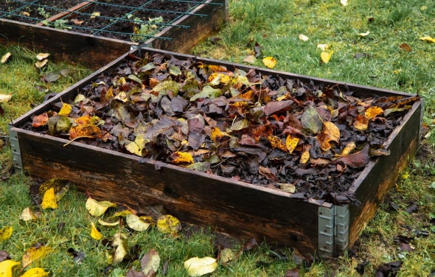 What to do with garden beds after harvesting What to do with garden beds after harvesting