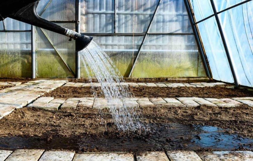 What you shouldn’t do in a greenhouse in spring – main mistakes