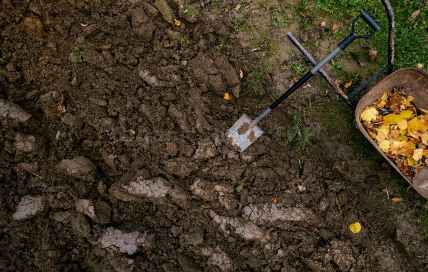 Do you need to dig up the garden in autumn: analyzing the pros and con