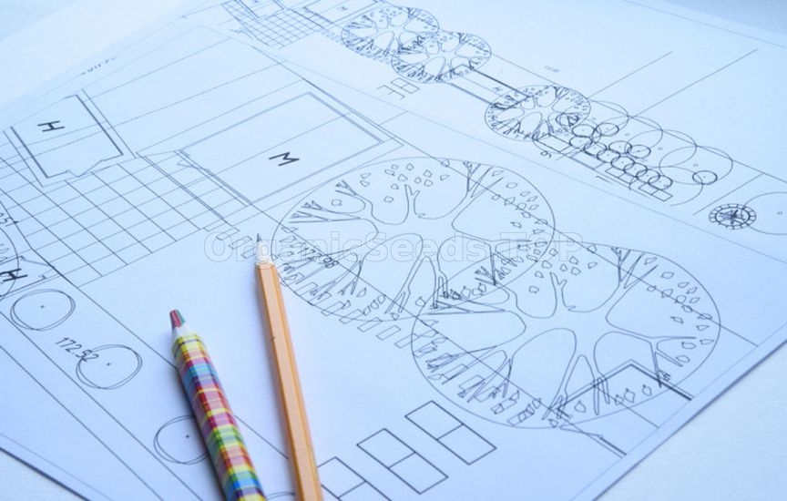 Planning the plot for the coming year