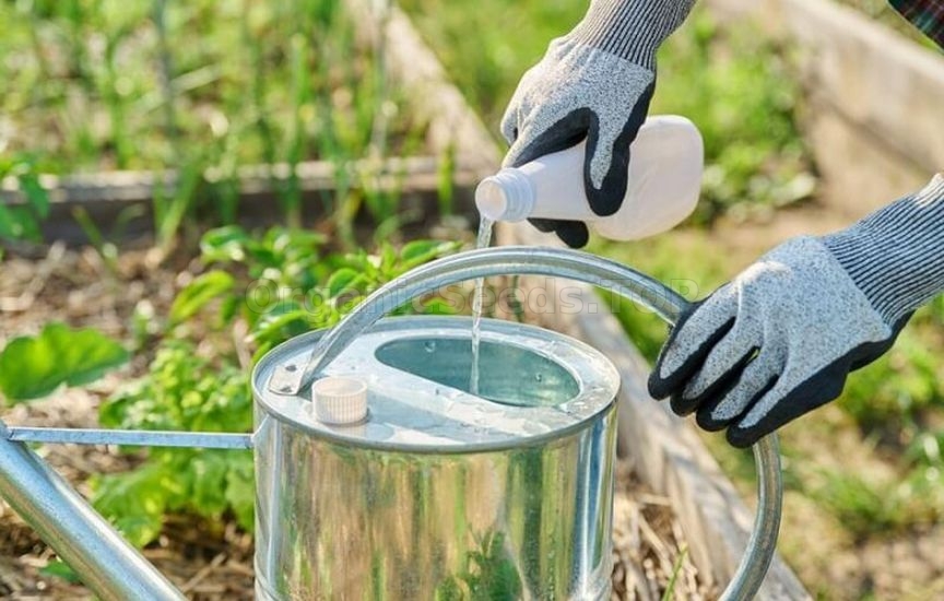 What should not be used to feed young seedlings What should not be used to feed young seedlings