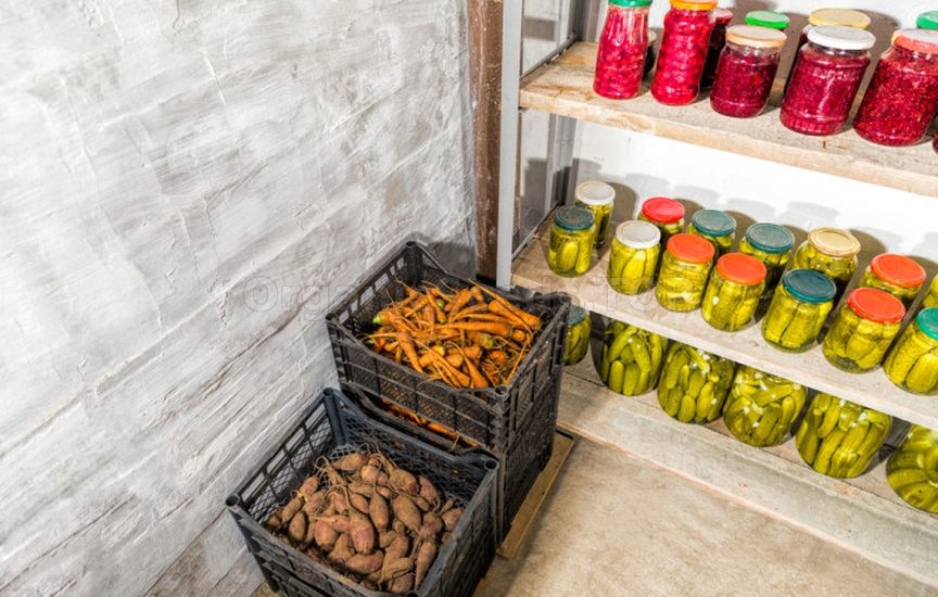 Carrots, beets and parsnips: when to harvest and how not to spoil the