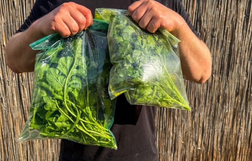 How to freeze herbs so they stay fragrant all winter How to freeze herbs so they stay fragrant all winter