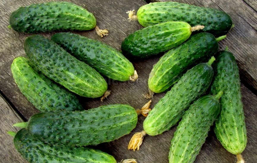 Which vegetables can be grown without seedlings