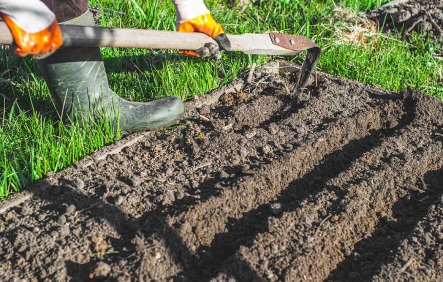 «Lazy» garden: how to cut maintenance in half