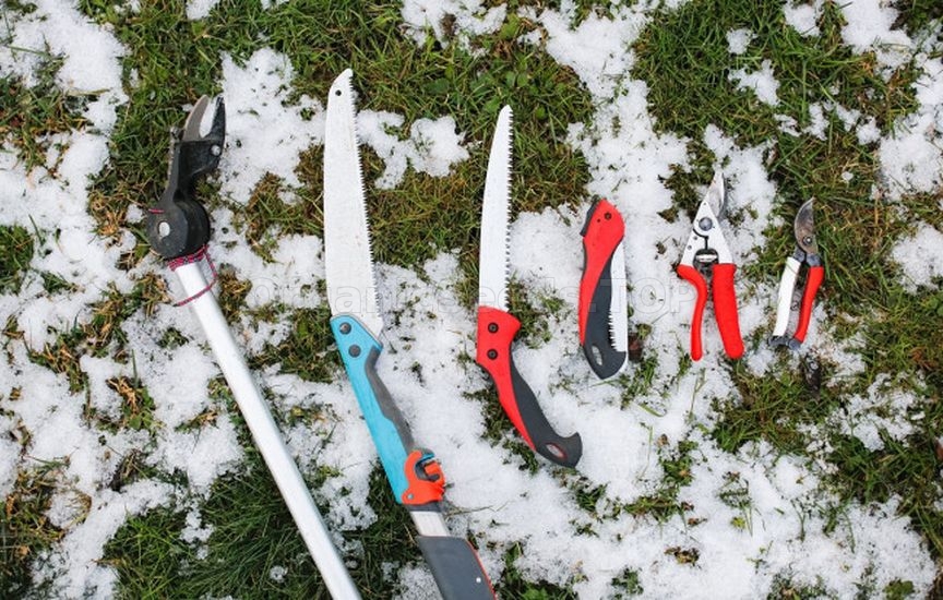 How to store tools and equipment in winter so as not to buy new ones in spring