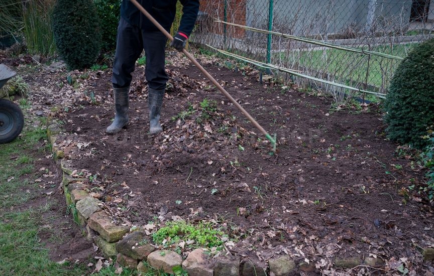 What to do with garden beds after harvesting: a step-by-step plan for autumn