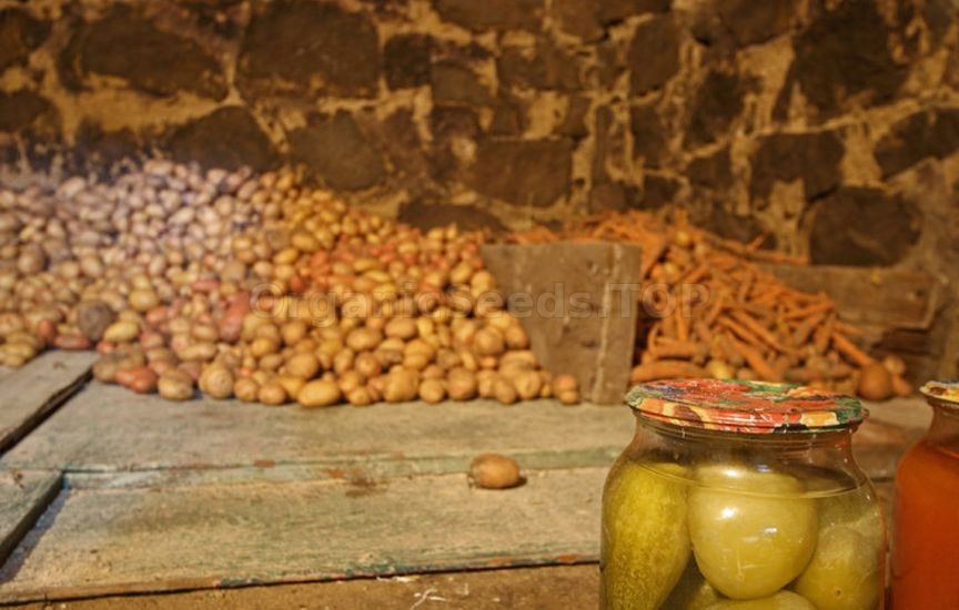 Which vegetables should not be stored next to each other