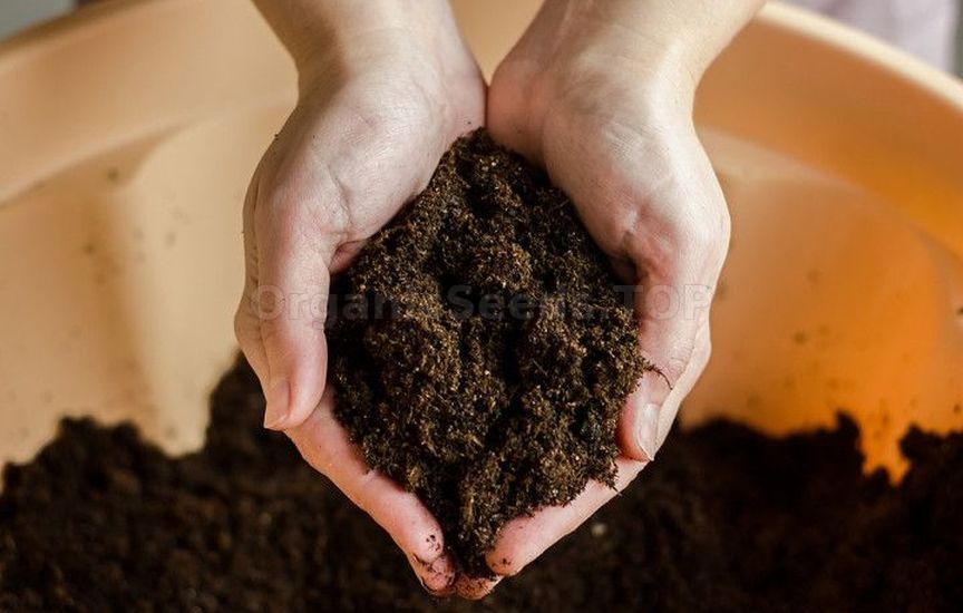 Preparation and storage of soil for seedlings