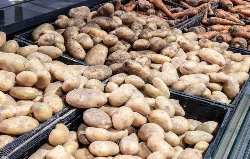 5 mistakes in winter vegetable storage