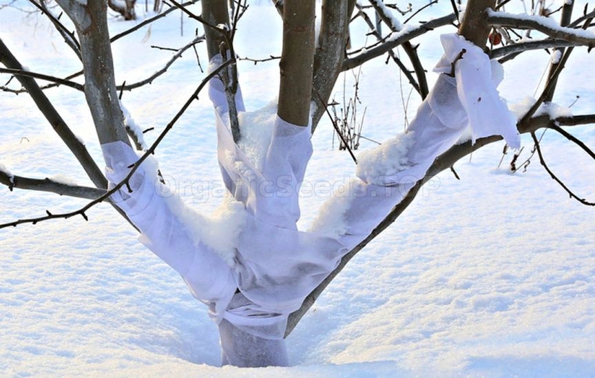 Garden bandage: how to use and what to replace with Garden bandage: how to use and what to replace with