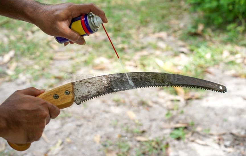 How to prepare garden tools for winter How to prepare garden tools for winter