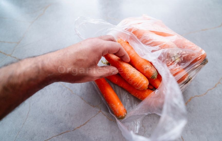 Carrots, beets and parsnips: when to harvest and how not to spoil the