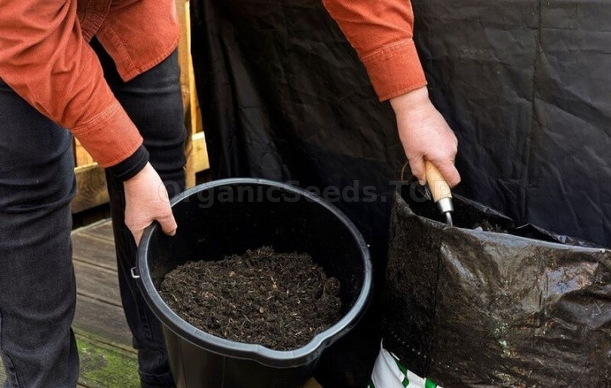 What to mulch flower beds with for winter: peat, compost, bark