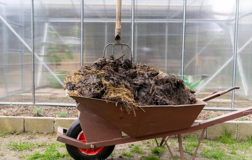What you shouldn’t do in a greenhouse in spring – main mistakes