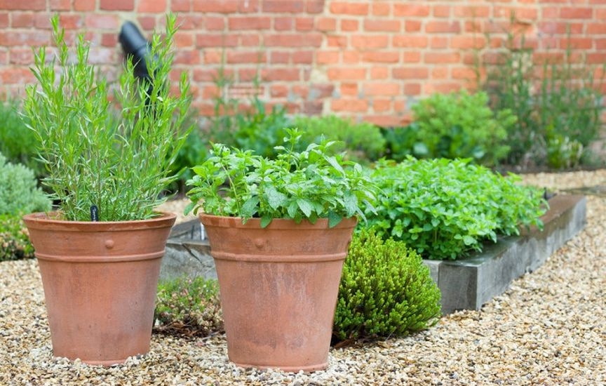 Planning the plot for the coming year