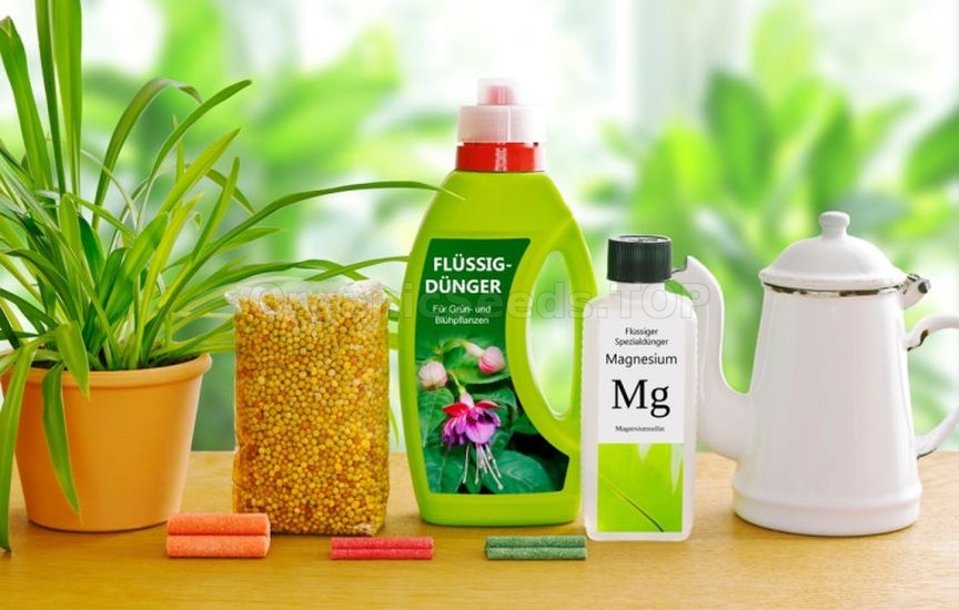 Fertilizers in the form of sticks: use and advantages Fertilizers in the form of sticks: use and advantages