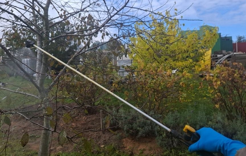 Garden bandage: how to use and what to replace with Garden bandage: how to use and what to replace with