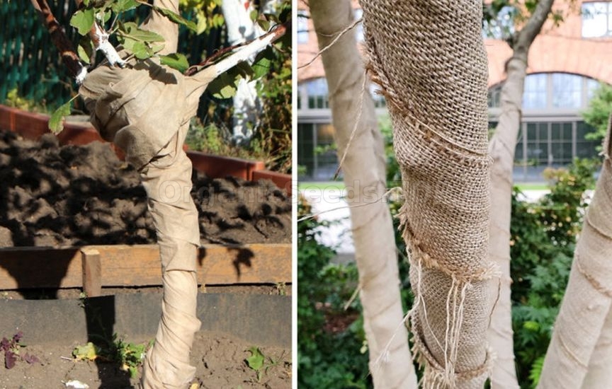 Garden bandage: how to use and what to replace with Garden bandage: how to use and what to replace with