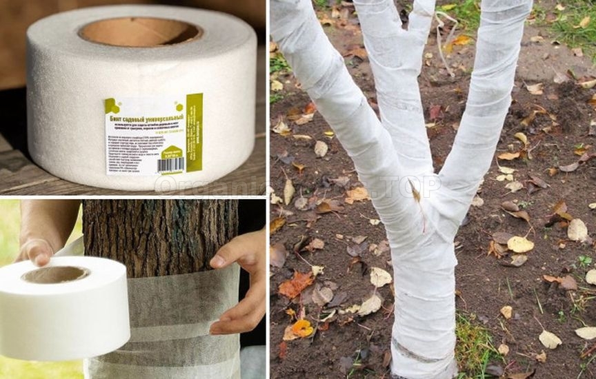 Garden bandage: how to use and what to replace with