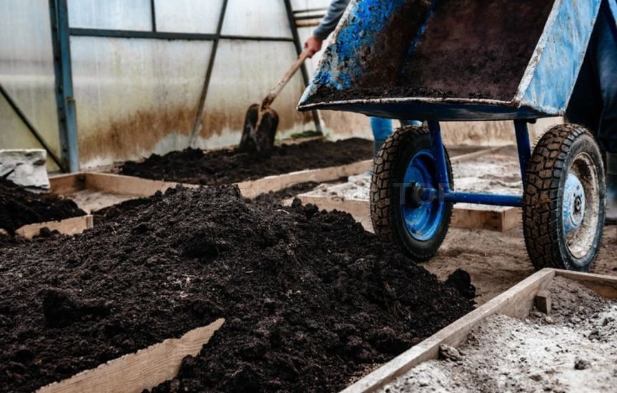 Greenhouse preparation in November: cleaning and disinfection Greenhouse preparation in November: cleaning and disinfection