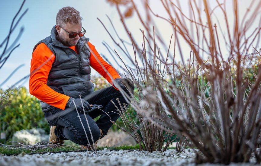 What to do in the garden and vegetable patch in March