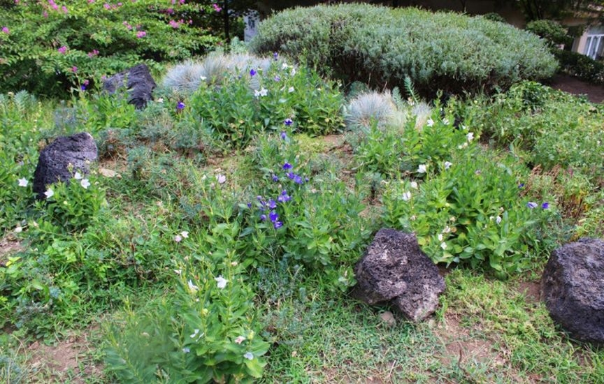 Planning the plot for the coming year