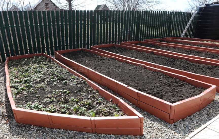 What to do in the garden and vegetable patch in March
