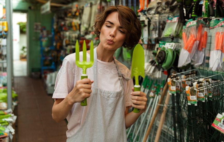 Planning the plot for the coming year