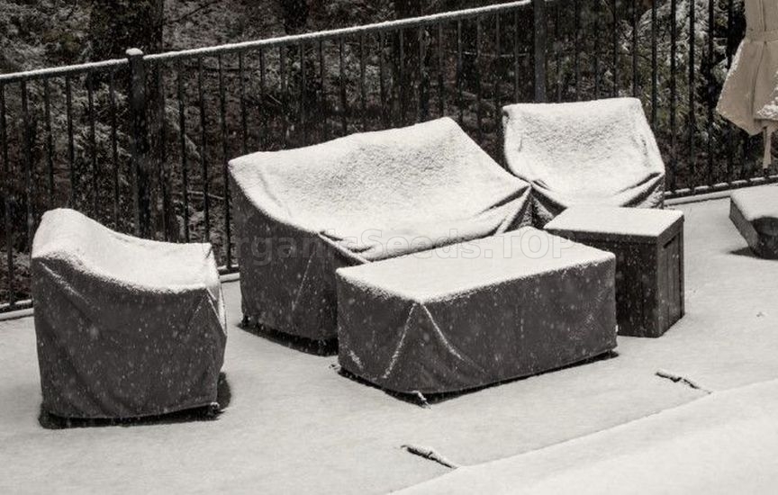 How to store hoses, tools, and garden furniture How to store hoses, tools, and garden furniture