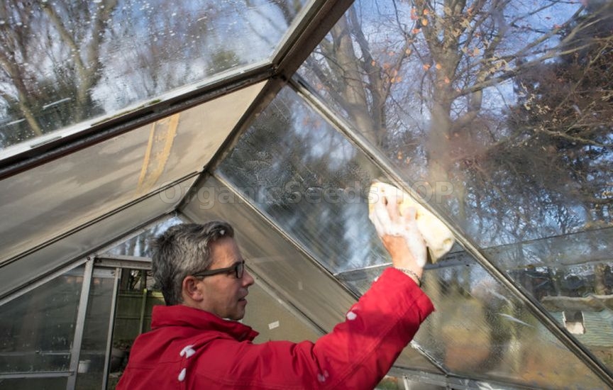 Greenhouse preparation in November: cleaning and disinfection Greenhouse preparation in November: cleaning and disinfection