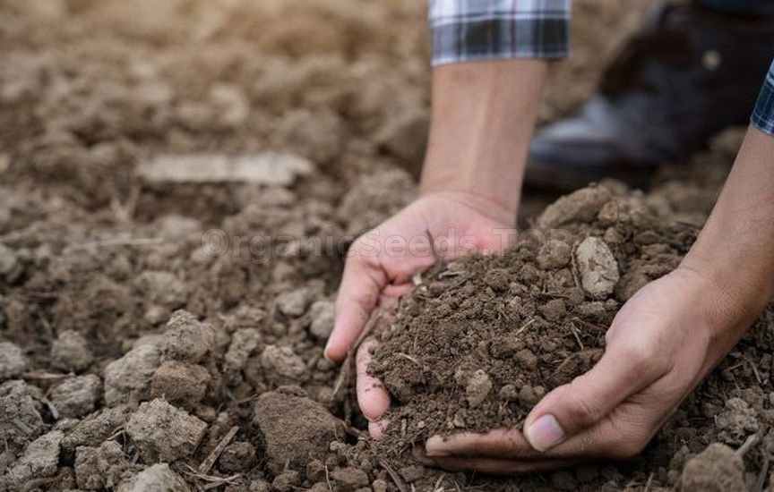 Natural methods of soil restoration