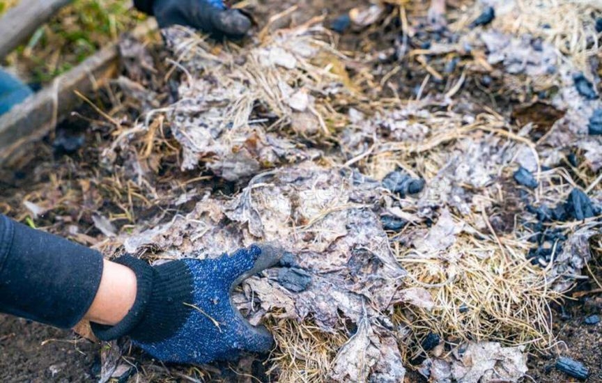 What you shouldn’t do in a greenhouse in spring – main mistakes