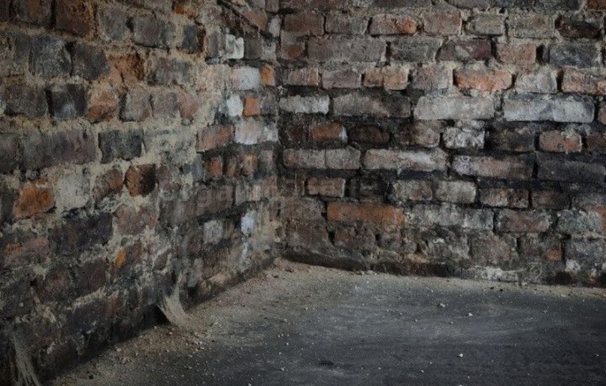 5 mistakes in winter vegetable storage