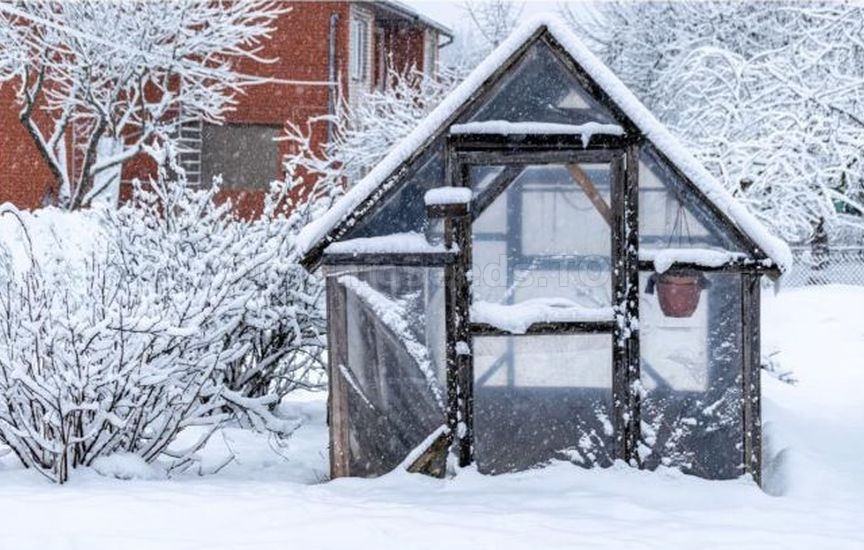 How to make a greenhouse useful in winter