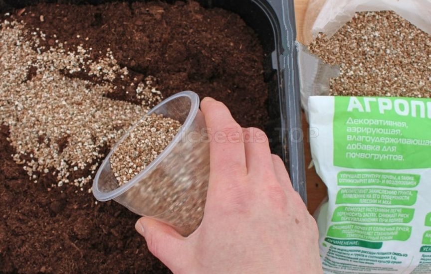 What to add to the soil for seedlings so that they grow strong and hea