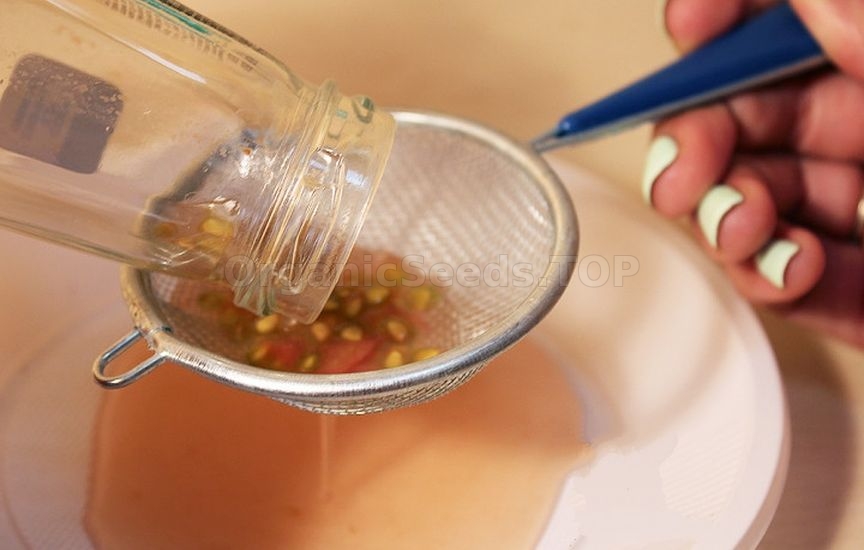 Why do some seeds sprout in 3 days while others «sit» for weeks