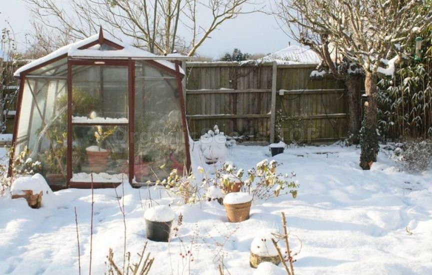 How to make a greenhouse useful in winter