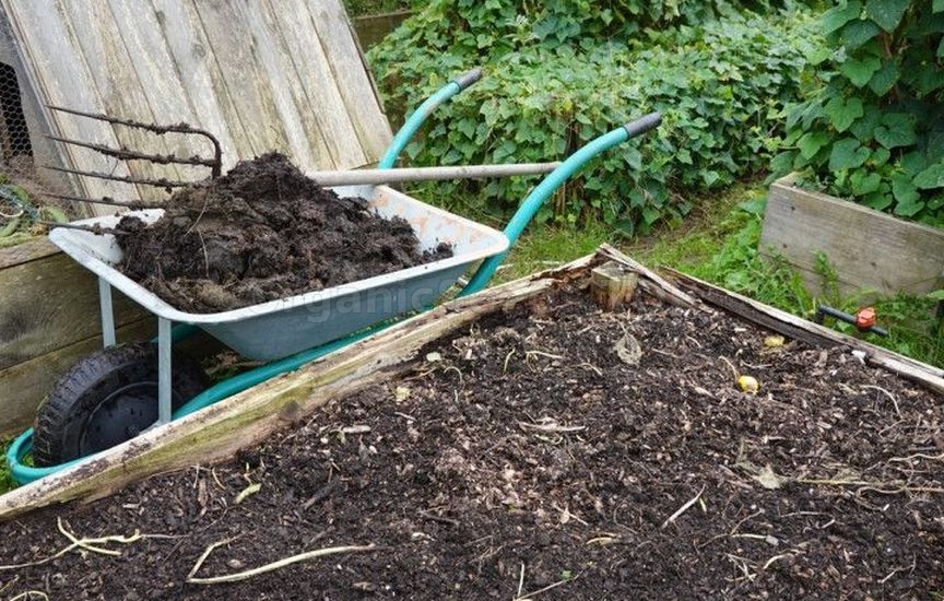 Natural methods of soil restoration