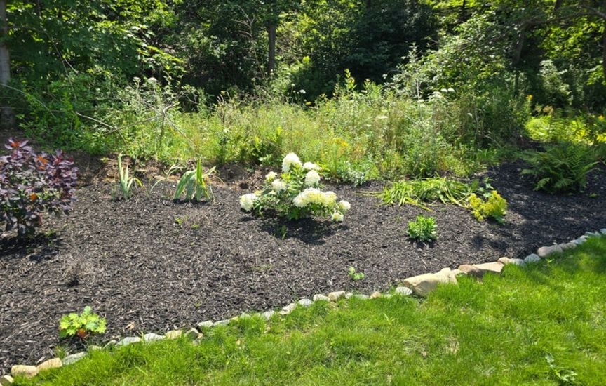 Planning the plot for the coming year