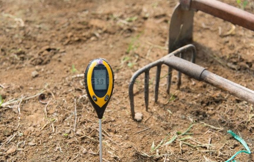 Natural methods of soil restoration