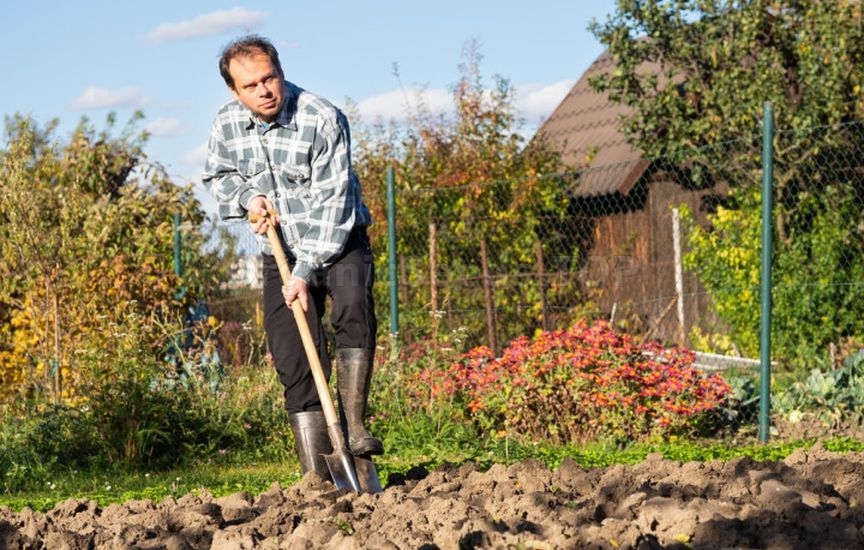 Do you need to dig up the garden in autumn: analyzing the pros and con
