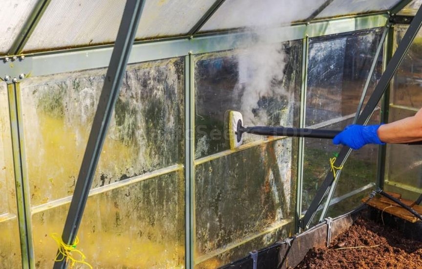 What you shouldn’t do in a greenhouse in spring – main mistakes