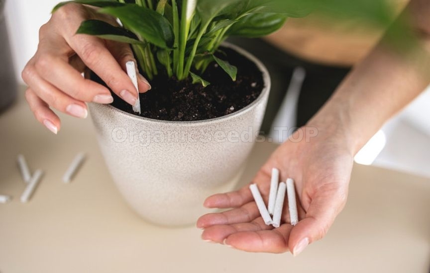 Fertilizers in the form of sticks: use and advantages Fertilizers in the form of sticks: use and advantages