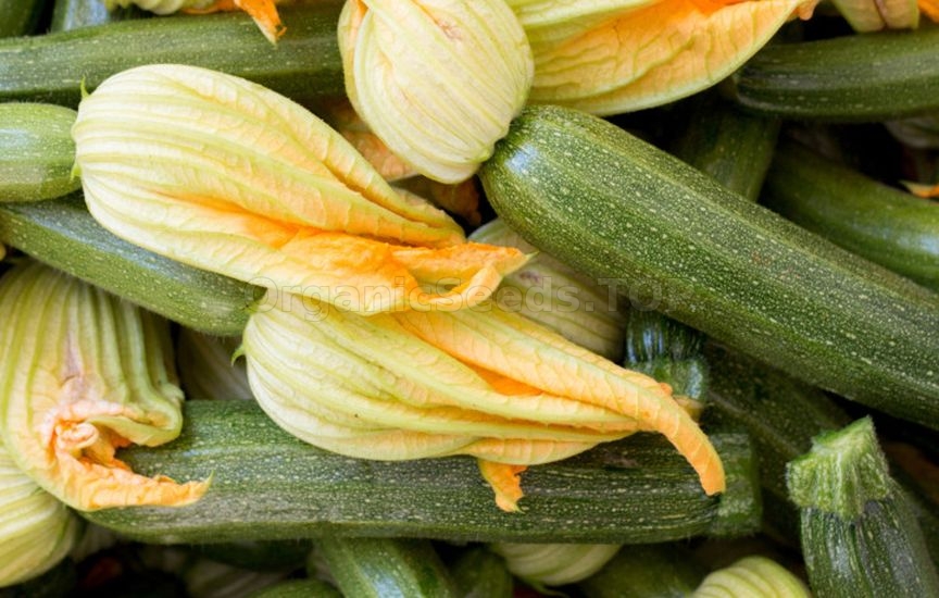 Which vegetables can be grown without seedlings