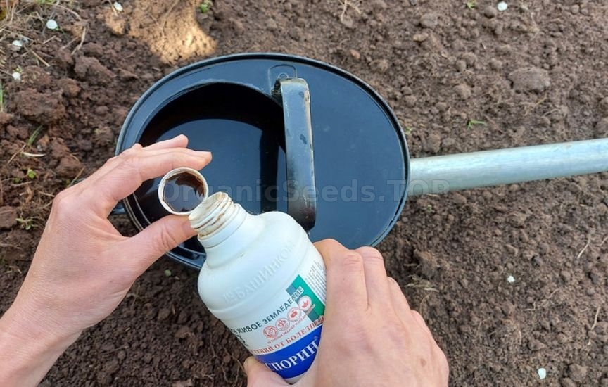 Natural methods of soil restoration