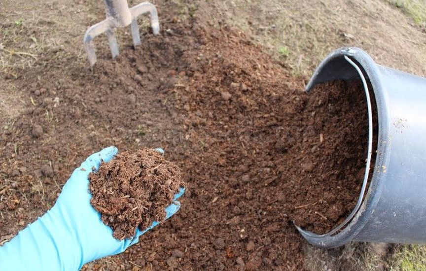 Natural methods of soil restoration