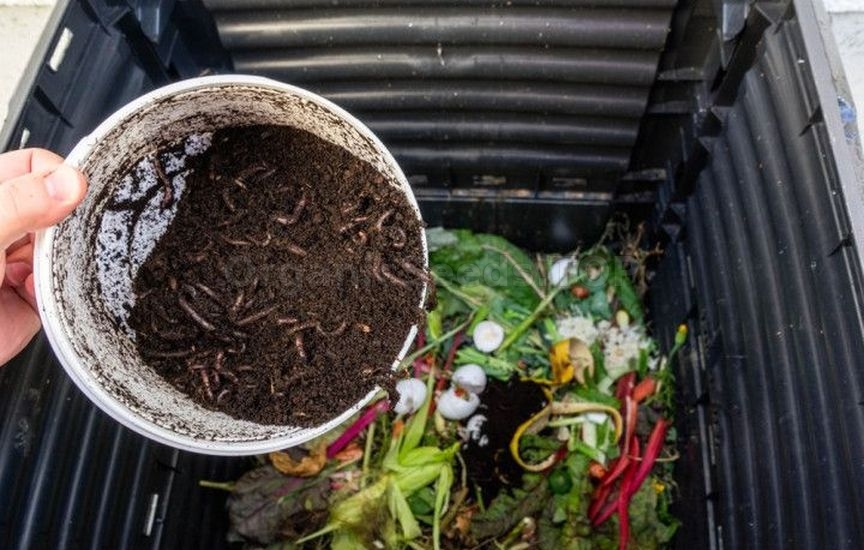 Natural methods of soil restoration